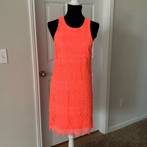 Bebe Neon Pink Lace Dress M